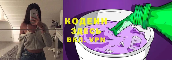 крисы Кулебаки