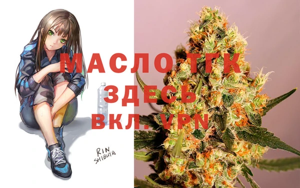 крисы Кулебаки