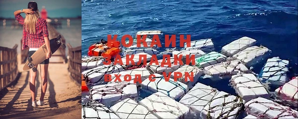 крисы Кулебаки