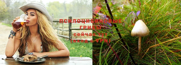 альфа пвп Кукмор