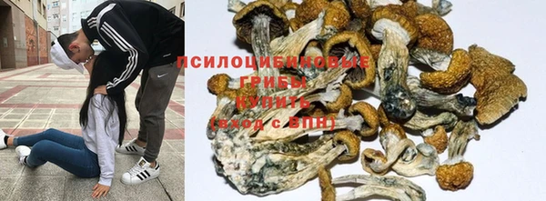 молекула духа Куйбышев
