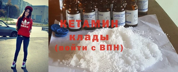крисы Кулебаки