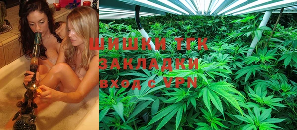 МДПВ Инта