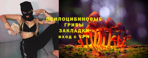 apvp Краснослободск